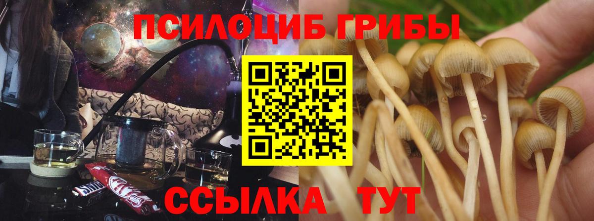 Галлюциногенные грибы мухоморы Кемерово
